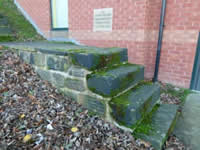 Wesley steps